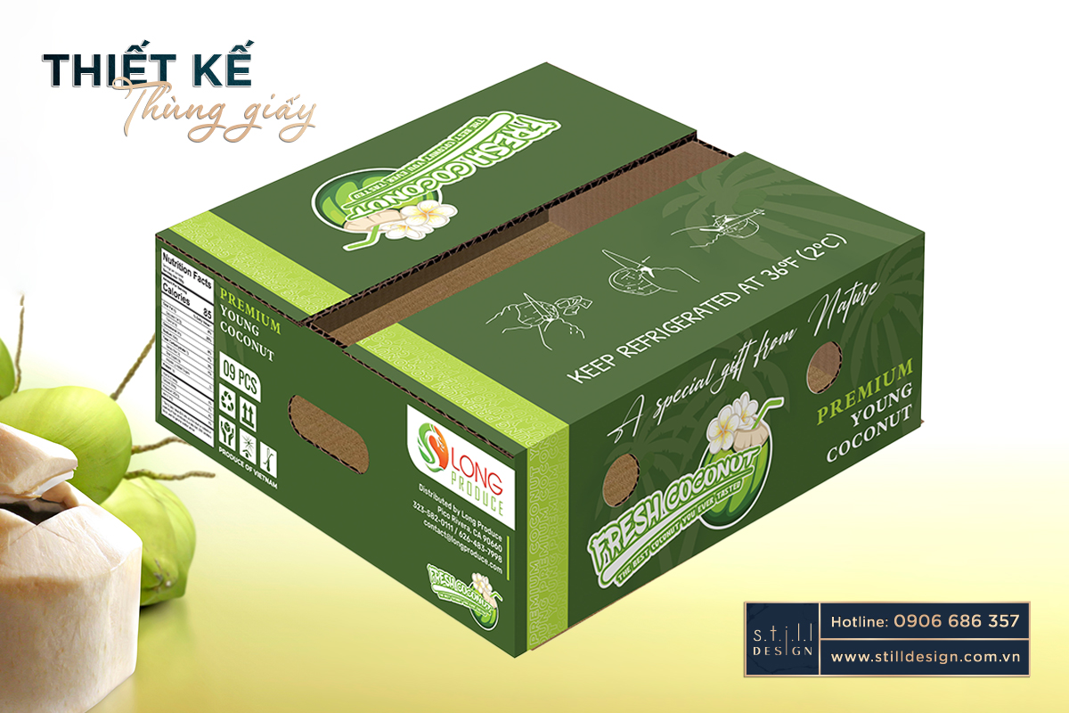 Thiết Kế Thùng Carton Xuất Khẩu
