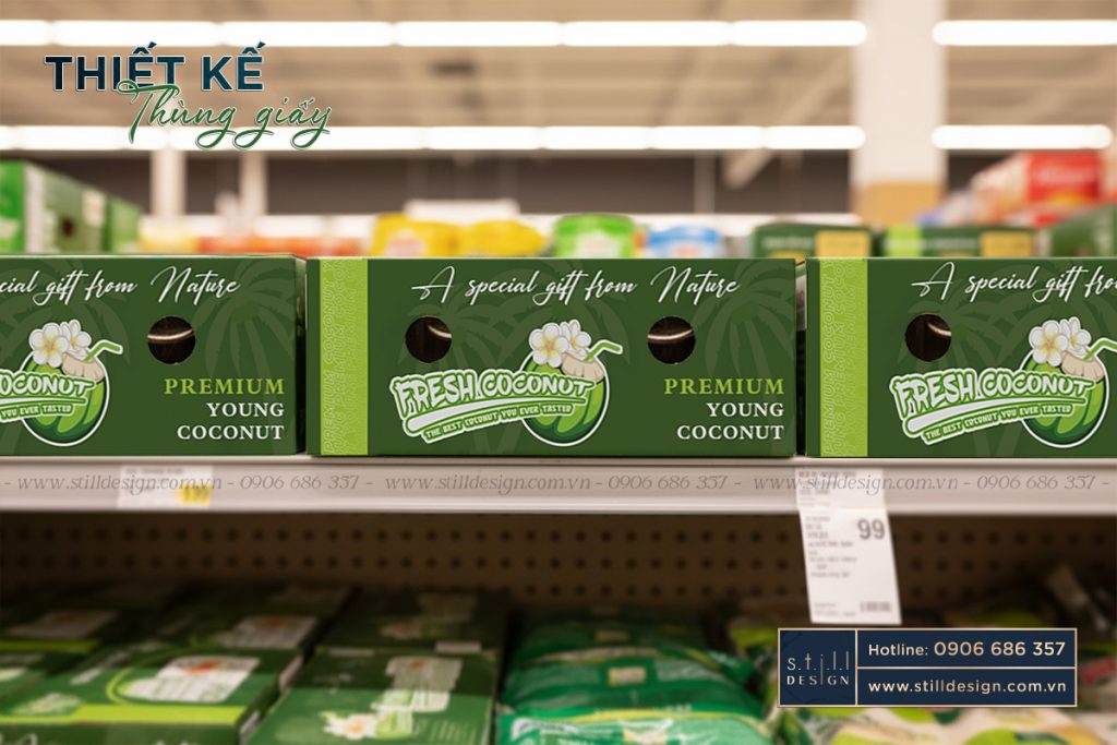 Thiết Kế Thùng Dừa Xuất Khẩu