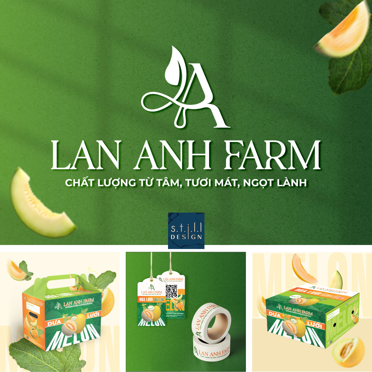 Thiết kế logo thương hiệu dưa lưới lan anh