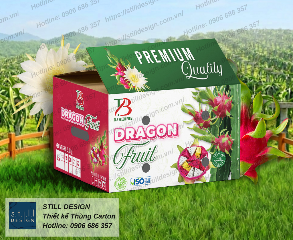 Thiết kế thùng thanh long xuất khẩu - TB Fresh Farm
