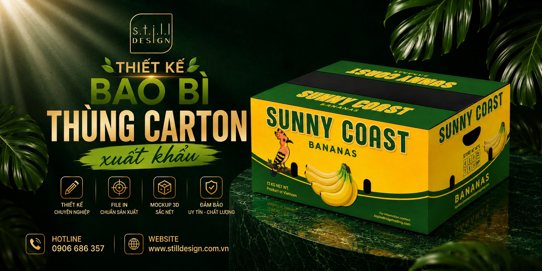 Still Design cung cấp dịch vụ thiết kế thùng carton chuyên nghiệp, tối ưu chi phí sản xuất
